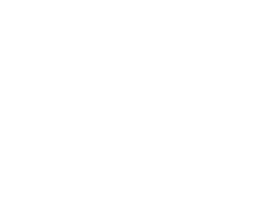 Logo 9